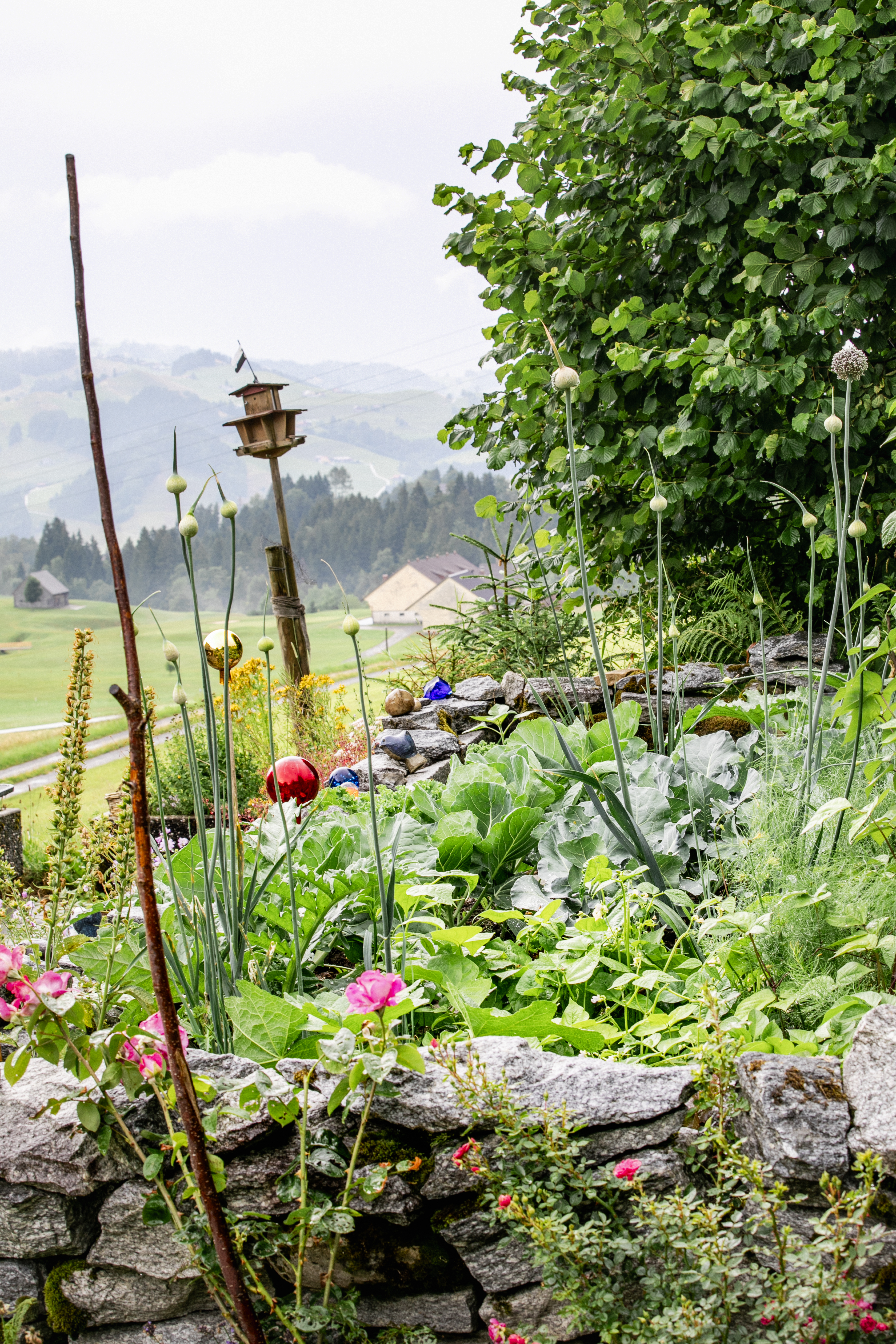 Claudine Kopp und ihr Appenzellerhaus mit Garten (Foto Sophie Stieger)